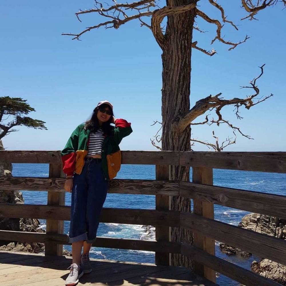 Meet your Posher, Vy